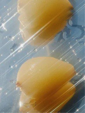 Eclat Soin Hair Conditioner with Panthenol & Betaine in creamy texture for smooth and healthy hair