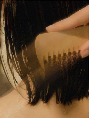 Eclat Soin Nourish and Volumize Shampoo used on sleek, wet hair for added shine and texture