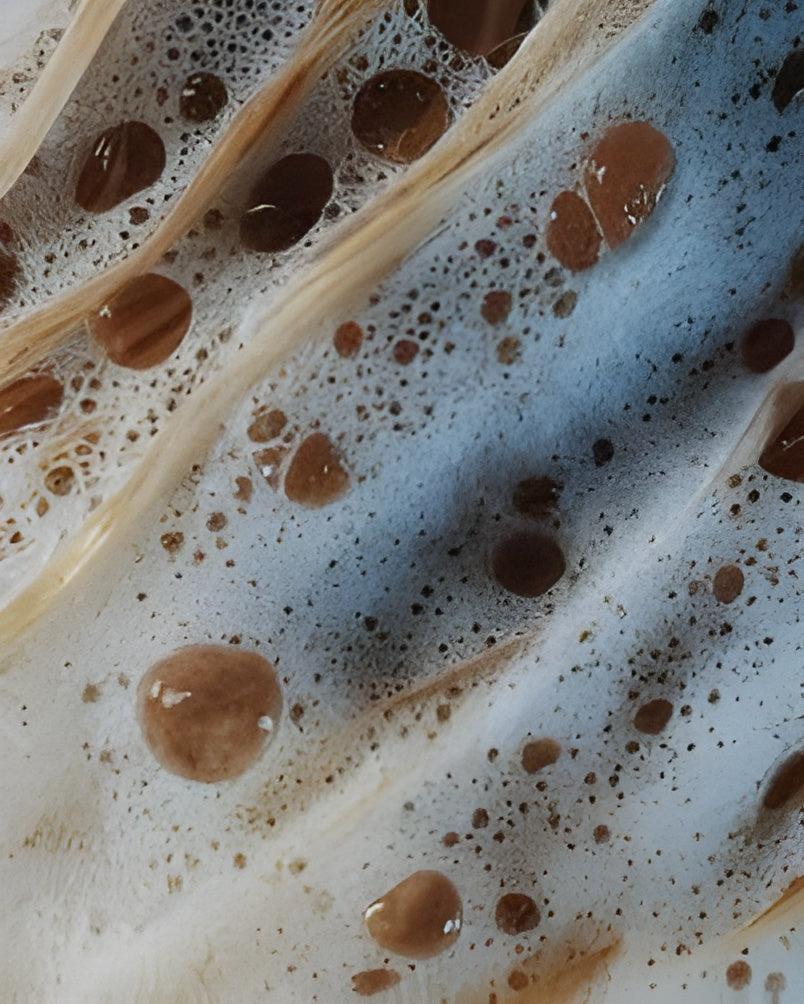 Eclat Soin Sensitive Scalp Shampoo with Rich Lather and Moisturizing Bubbles for Gentle Hair Care